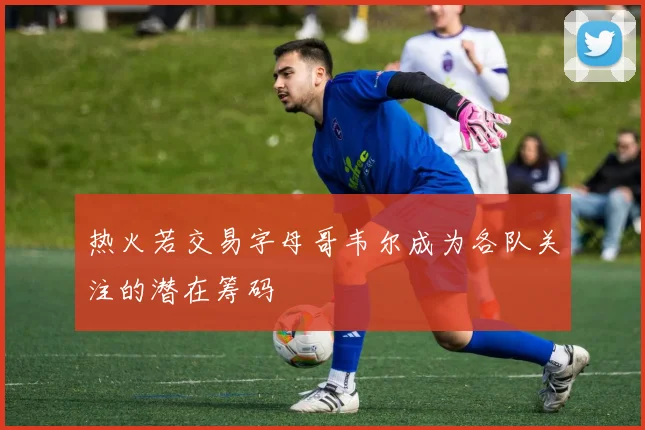 热火若交易字母哥韦尔成为各队关注的潜在筹码