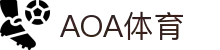 AOA体育· (CN)官方网站-AOA SPORTS
